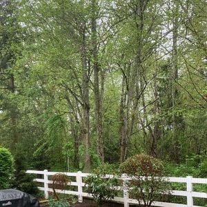 Meet your Posher, Omayra